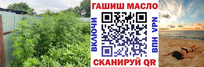 ТГК гашишное масло  Купить  Калининец 